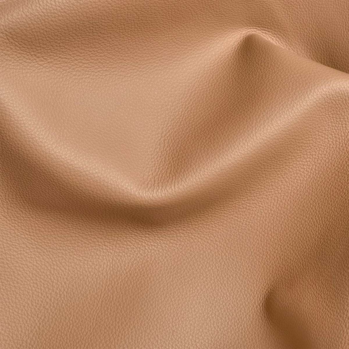 Suave Cappuccino, ����������� ���� �� ������
